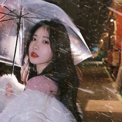 龟女士的奥德赛